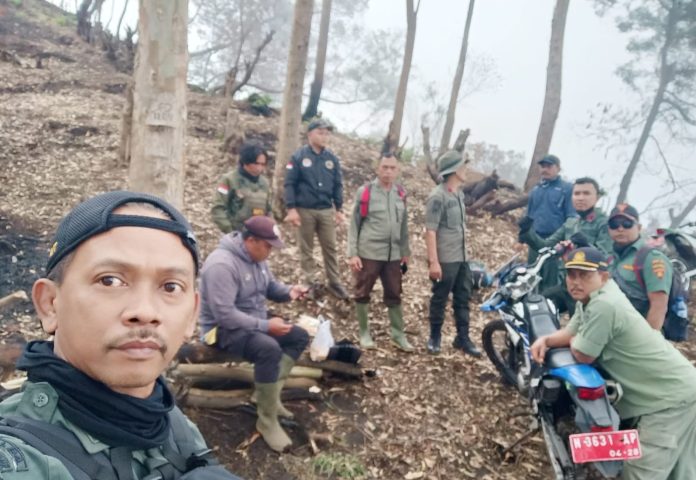 kph-probolinggo-laksanakan-patroli-gabungan-pengamanan-perbatasan-kawasan-hutan-petak-2-hl